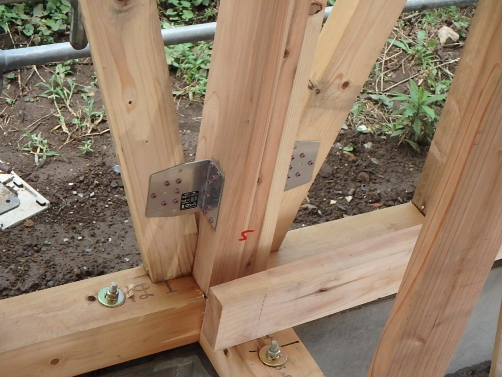 P9100130