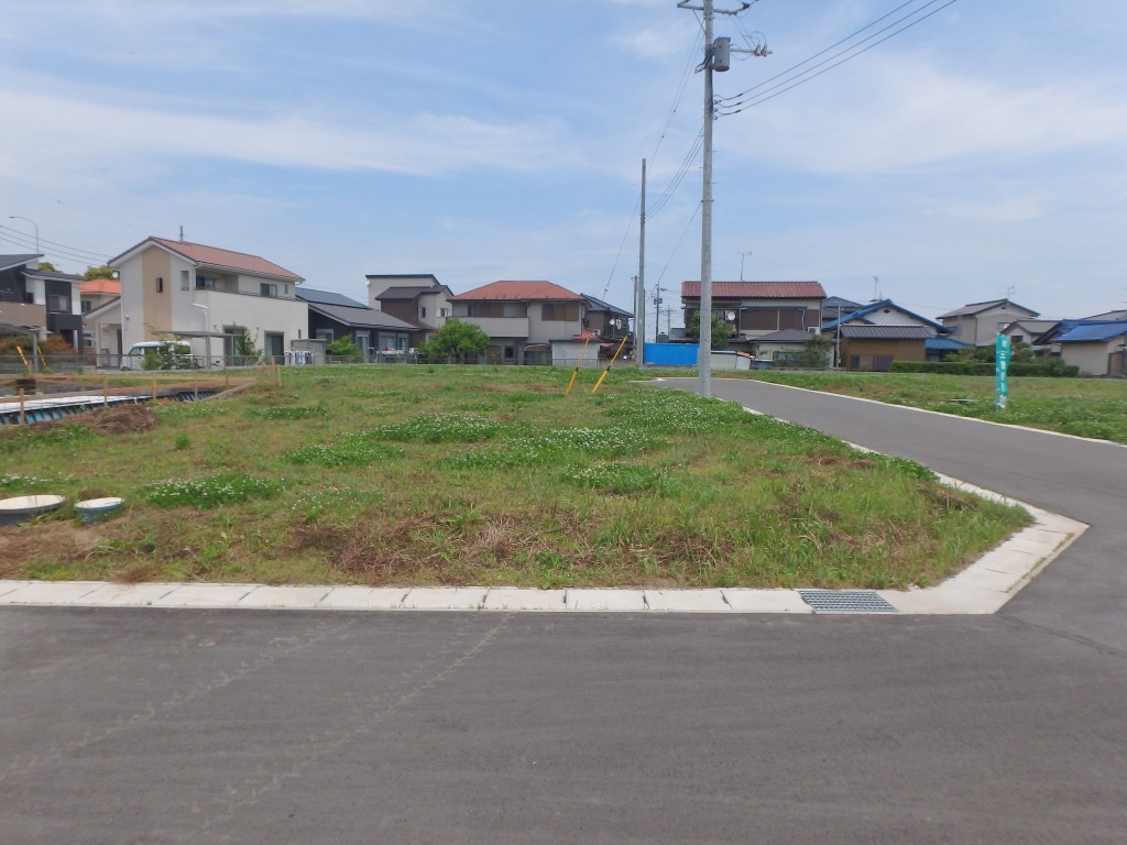 P5243443