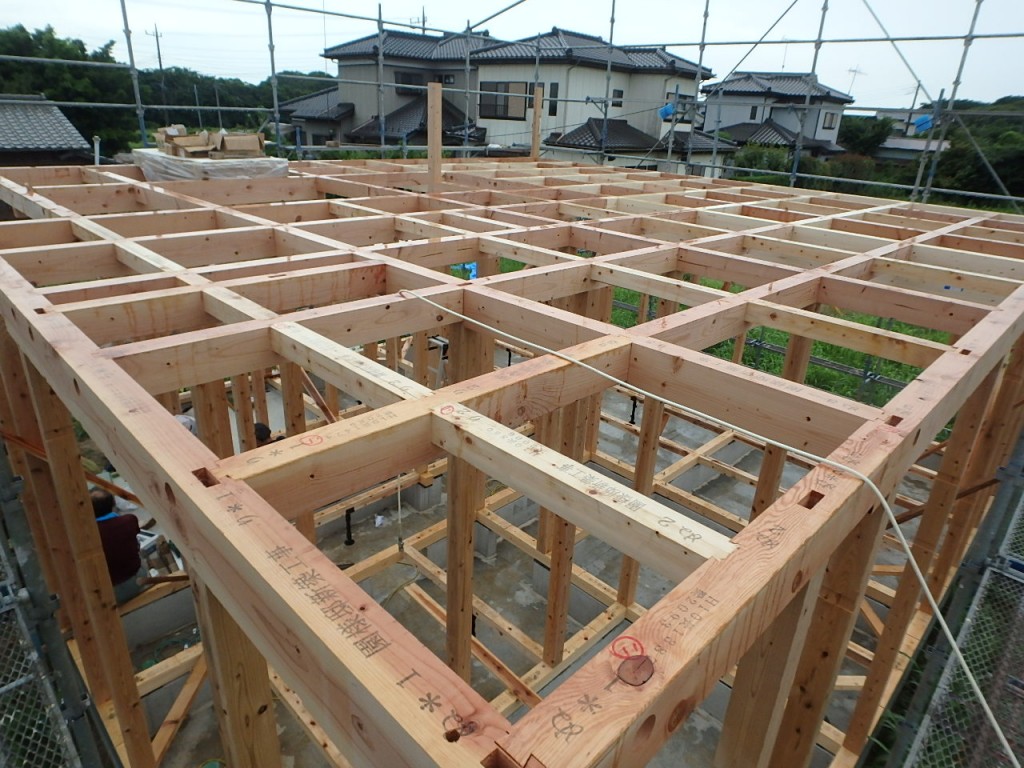 P7040164